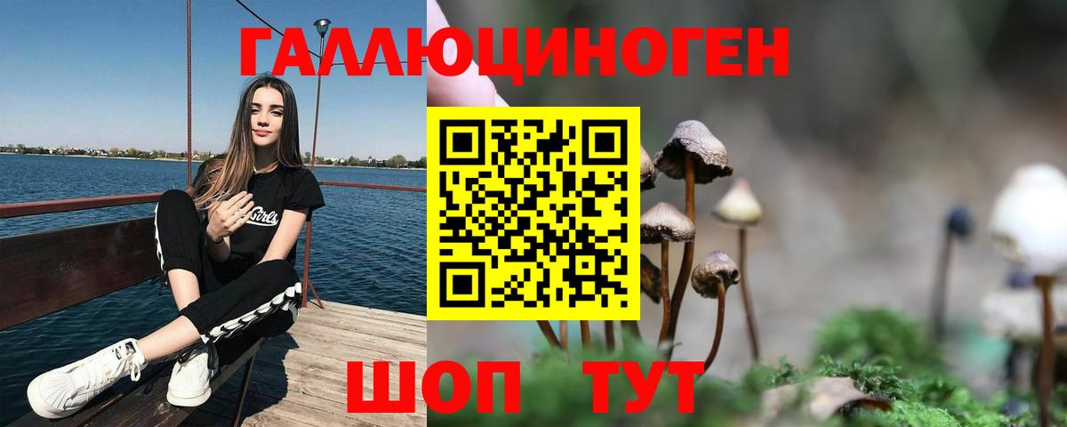 Электросталь  Псилоцибиновые грибы Psilocybe  Вход с VPN 